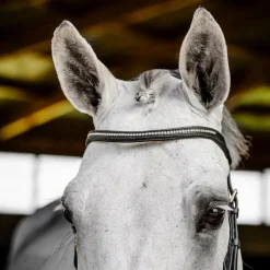 Discount - Bridon Micklem Diamante Competition Bridons