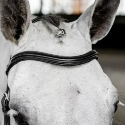 Bridons*Horseware - Bridon Micklem Deluxe Competition Noir