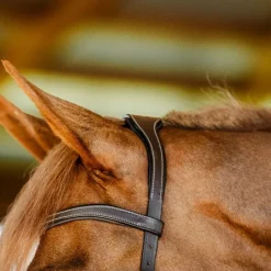 Bridons*Horseware - Bridon Micklem Competition dark havane Marron