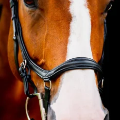 Online - Bridon Rambo Micklem 2 Diamante Competition Bridons Poneys|Bridons