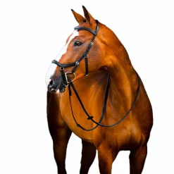Bridons Poneys|Bridons*Horseware - Bridon Rambo Micklem 2 Deluxe Competition avec rênes Noir