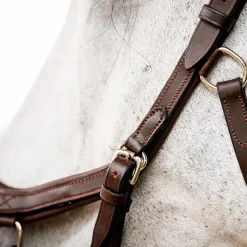 - Bridon Rambo Micklem 2 Deluxe Competition Bridons Poneys|Bridons