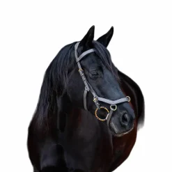 Cso|Sidepull*Horseware - Bridon Rambo Micklem multibride Noir