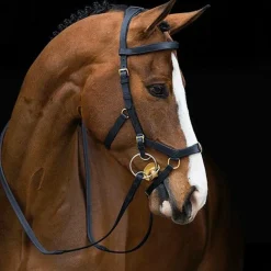 Cso|Sidepull*Horseware - Bridon Rambo Micklem multibride Noir