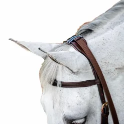 Clearance - Bridon Rambo Micklem 2.0 multibride Bridons Poneys|Bridons