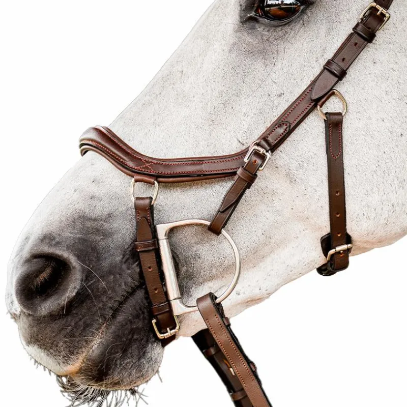 Bridons Poneys|Bridons*Horseware - Bridon Rambo Micklem 2 Competition avec rênes Havane