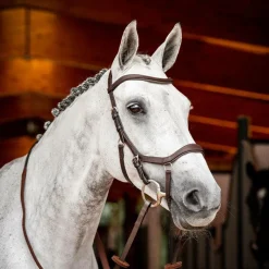 Online - Bridon Rambo Micklem 2 Competition Bridons Poneys|Bridons