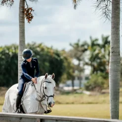 Couvertures Et Chemises*Horseware - Chemise anti-mouches de monte Amigo Flyrider argent/ titanium grey/ argent Gris