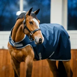 Outlet - Chemise de marcheur Amigo Ripstop Walker / titanium grey 100g Couvertures Poneys|Couvertures Et Chemises