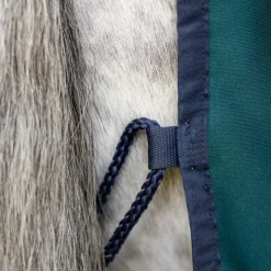 Couvertures Poneys|Couvertures Et Chemises*Horseware - Chemise séchante Amigo Jersey Pony dynasty green/ marine/ argent Vert