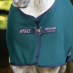 Couvertures Poneys|Couvertures Et Chemises*Horseware - Chemise séchante Amigo Jersey Pony dynasty green/ marine/ argent Vert