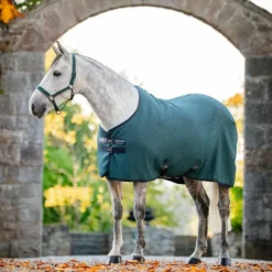 Couvertures Et Chemises*Horseware - Chemise séchante Rambo Techni Waffle dynasty green/ marine/ argent Vert