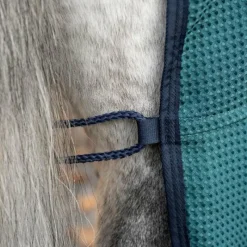 Couvertures Et Chemises*Horseware - Chemise séchante Rambo Techni Waffle dynasty green/ marine/ argent Vert