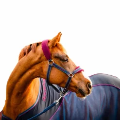 Hot - Chemise séchante Rambo Sport Cooler / bordeaux Couvertures Poneys|Couvertures Et Chemises