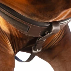 - Collier de chasse Rambo Micklem havane Colliers De Chasse Poneys|Colliers De Chasse