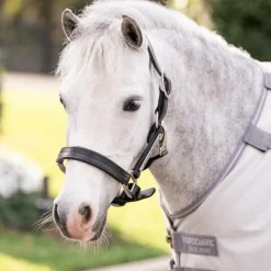 Hot - Couverture anti-mouches Amigo Bug Rug Pony argent/ titanium grey/ argent Couvertures Poneys|Couvertures Et Chemises