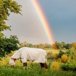 Outlet - Couverture anti-mouches Newmarket Plus witney charcoal Couvertures Et Chemises