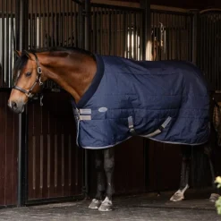 Online - Couverture de box Rhino Stable VL / titanium grey/ classic blue 250g Couvertures Et Chemises