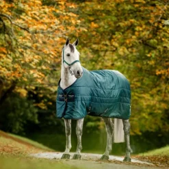 Couvertures Et Chemises*Horseware - Couure de box Amigo Ripstop Insulator dynasty green/ marine/ argent 50g Vert