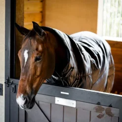 Couvertures Et Chemises*Horseware - Couverture de box Amigo Ripstop Insulator Plus Stable / argent 350g Noir
