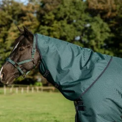 Couvertures Poneys|Couvertures Et Chemises*Horseware - Couure d'extérieur Amigo Ripstop Plus Pony Turnout dynasty green/ marine/ argent 0g Vert