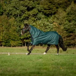 Couvertures Et Chemises*Horseware - Couure d'extérieur Amigo Ripstop Plus Turnout dynasty green/ marine/ argent 0g Vert