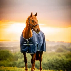 Hot - Couverture d'extérieur Amigo Ripstop Turnout doublé polaire witney navy 50g Couvertures Et Chemises