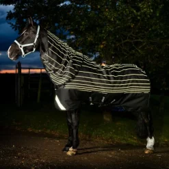 Couvertures Et Chemises*Horseware - Couverture d'extérieur Amigo FieldSafe Reflectech Plus Turnout 250g Noir