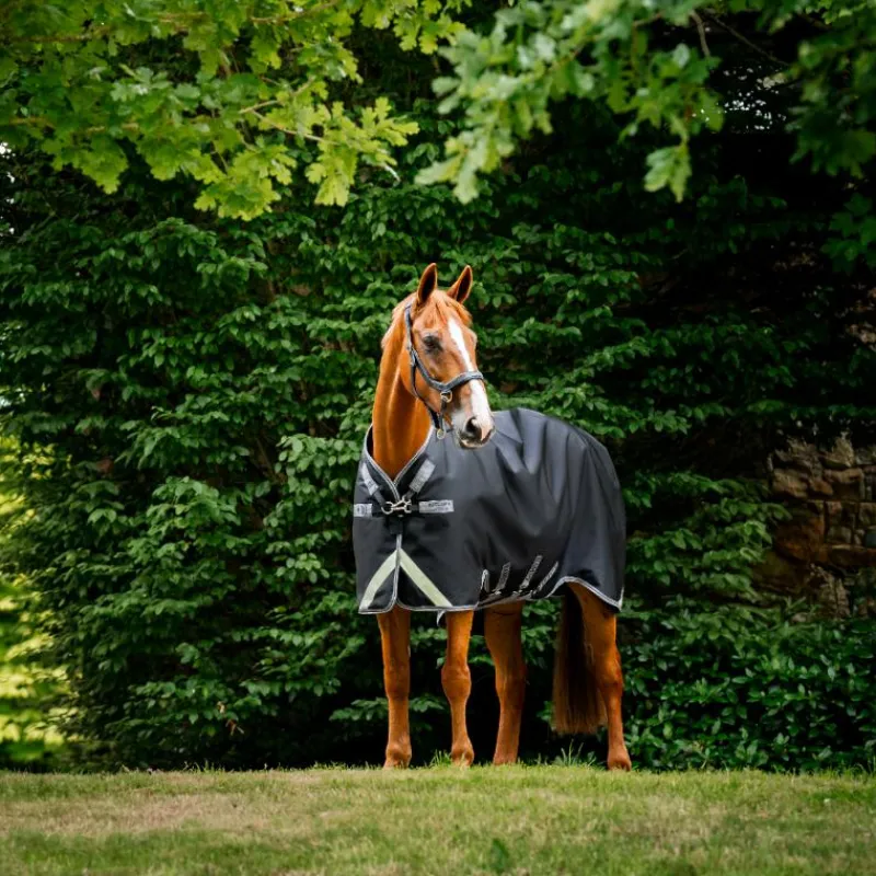 Online - Couverture d'extérieur Rambo Turnout / thunderstorm gris/ argent 50g Couvertures Et Chemises