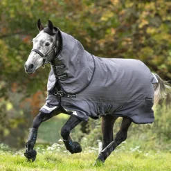 Sale - Couverture d'extérieur Amigo Bravo 12 réfléchissantes / noir 100g Couvertures Poneys|Couvertures Et Chemises