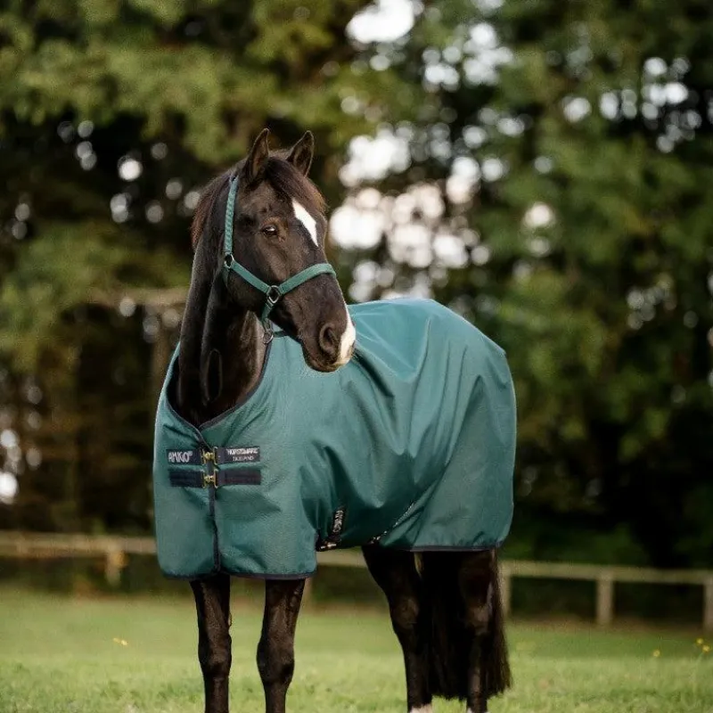 Couvertures Et Chemises*Horseware - Couure d'extérieur Amigo Ripstop Turnout dynasty green/ marine/ argent 0g Vert