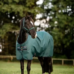 Hot - Couure d'extérieur Amigo Ripstop Pony Turnout dynasty green/ marine/ argent 0g Couvertures Poneys|Couvertures Et Chemises