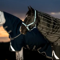 Couvertures Et Chemises*Horseware - Couverture d'extérieur Amigo FieldSafe Plus Turnout / titanium grey/ argent 50g Marine