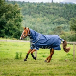 Couvertures Et Chemises*Horseware - Couverture d'extérieur Amigo Bravo 12 Plus Turnout / titanium grey/ argent 400g Marine