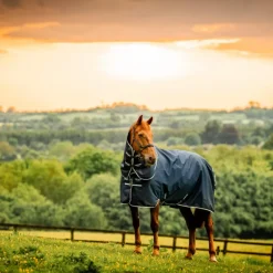Couvertures Poneys|Couvertures Et Chemises*Horseware - Couverture d'extérieur Amigo Ripstop Plus Pony Turnout witney navy 0g Bleu
