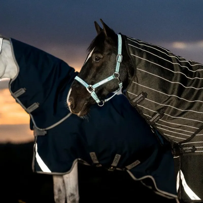 Couvertures Et Chemises*Horseware - Couverture d'extérieur Amigo FieldSafe Plus Turnout / titanium grey/ argent 250g Marine