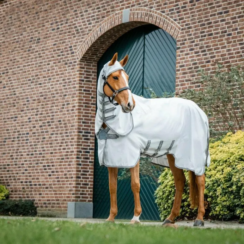 - Couverture d'extérieur Amigo Ripstop Hoody argent/ titanium grey/ argent Couvertures Et Chemises