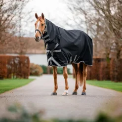 Couvertures Et Chemises*Horseware - Couverture d'extérieur Amigo Bravo Integrated Turnout / titanium grey/ argent 50g Noir