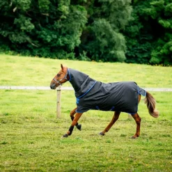 Clearance - Couverture d'extérieur Amigo Ripstop 900 Plus / classic blue 0g Couvertures Et Chemises|Couvertures Poneys