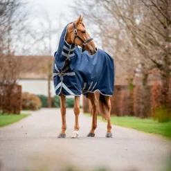 Couvertures Et Chemises*Horseware - Couverture d'extérieur Amigo Bravo Integrated Turnout / titanium grey/ argent 250g Marine