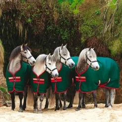 New - Couure d'extérieur Rambo Original / rouge 0g Couvertures Poneys|Couvertures Et Chemises