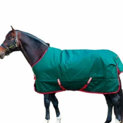 Couvertures Poneys|Couvertures Et Chemises*Horseware - Couure d'extérieur Rambo Original / rouge 400g Vert