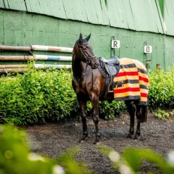 Best - Couverture polaire Newmarket witney gold Couvertures Et Chemises