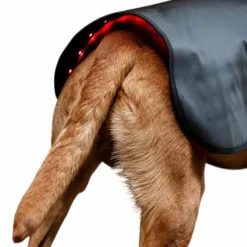 Discount - Couverture pour chien thérapeutique lumière rouge LED Manteaux