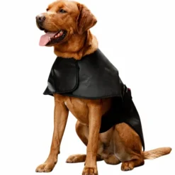 Discount - Couverture pour chien thérapeutique lumière rouge LED Manteaux