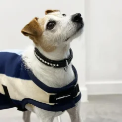 Manteaux*Horseware - Couverture pour chien Rambo Deluxe rayé / blanc 0g Bleu