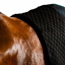 - Couverture séchante Autumn Cooler / aqua/ argent 50g Couvertures Poneys|Couvertures Et Chemises