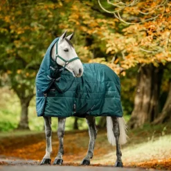 New - Couvre-cou couure de box Amigo Ripstop Insulator dynasty green/ marine/ argent 200g Couvertures Et Chemises