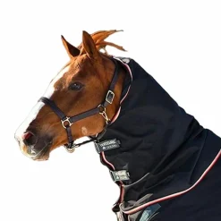 Clearance - Couvre-cou pour couverture Rambo Optimo / orange 0g Couvertures Poneys|Couvertures Et Chemises