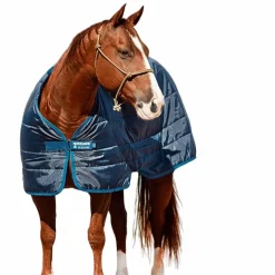 Sale - Doublure amovible 300g Couvertures Et Chemises